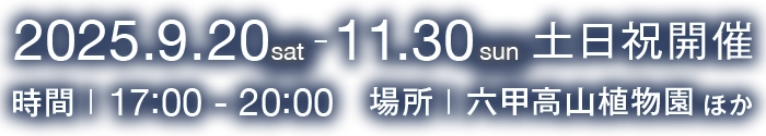 ひかりの森、夜の芸術散歩は2025年9月20日土曜日から11月30日の土日祝の間開場しています