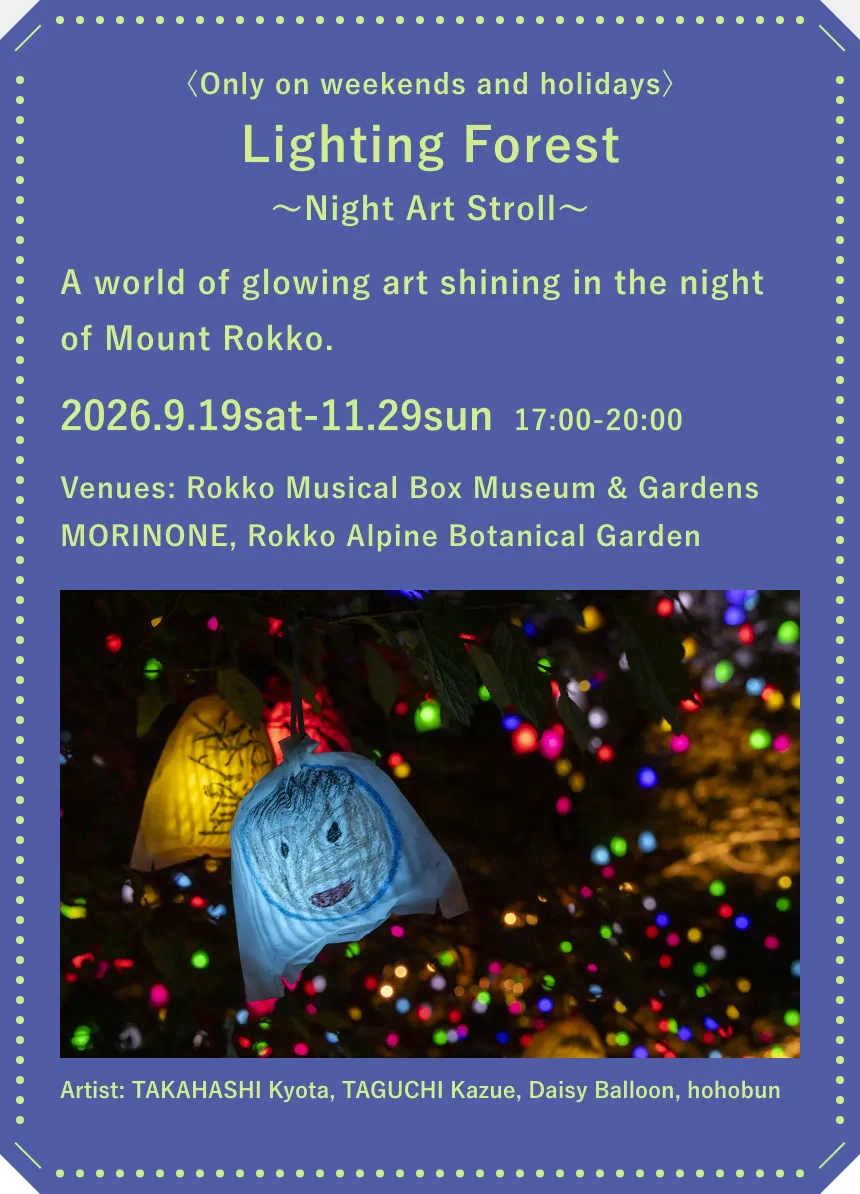 Lighting Forest Night Art Sttoll