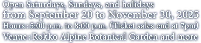 ひかりの森、夜の芸術散歩は2025年9月20日土曜日から11月30日の土日祝の間開場しています